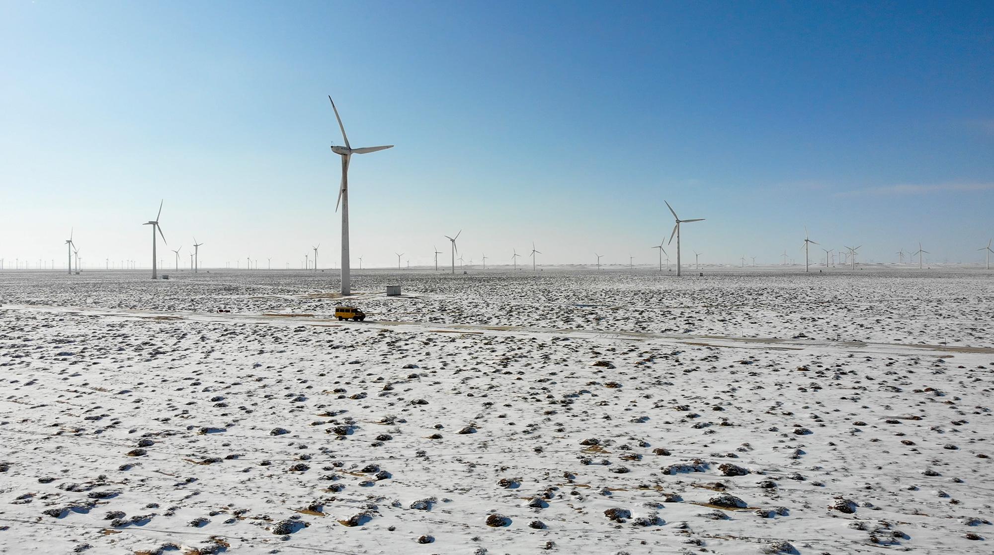 ����ѩ�� 