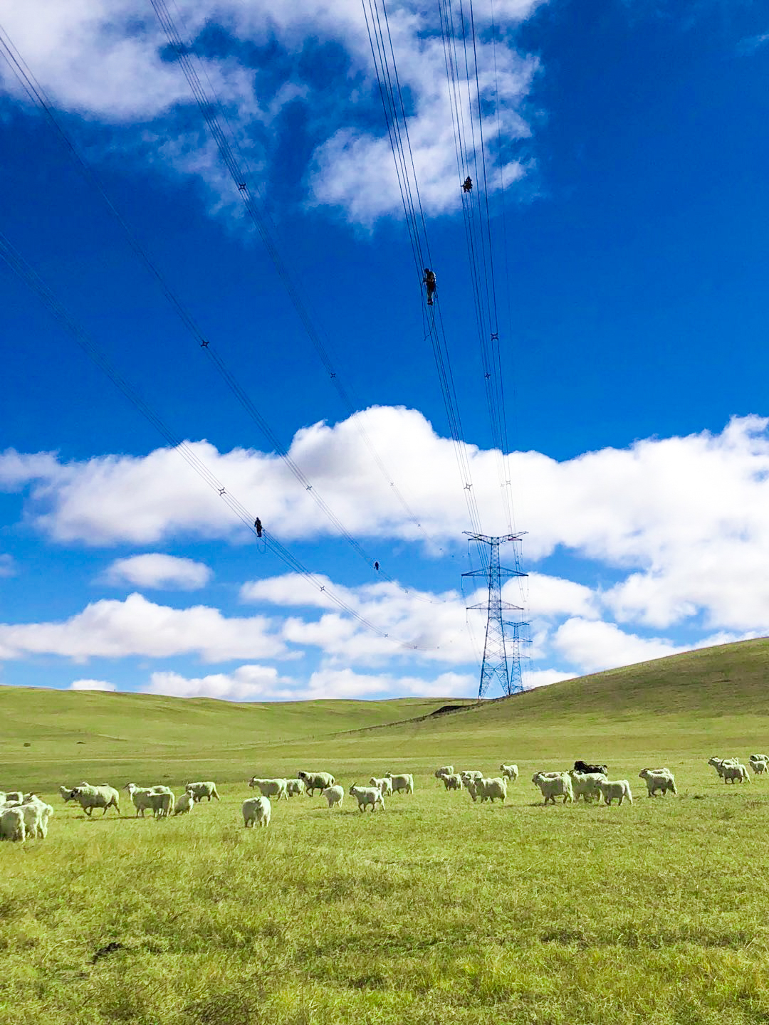 Э������ ������Ϣ