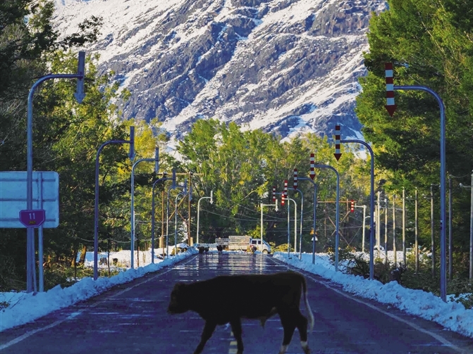 Ӣϣ(williamhill)ΨһĹٷվ